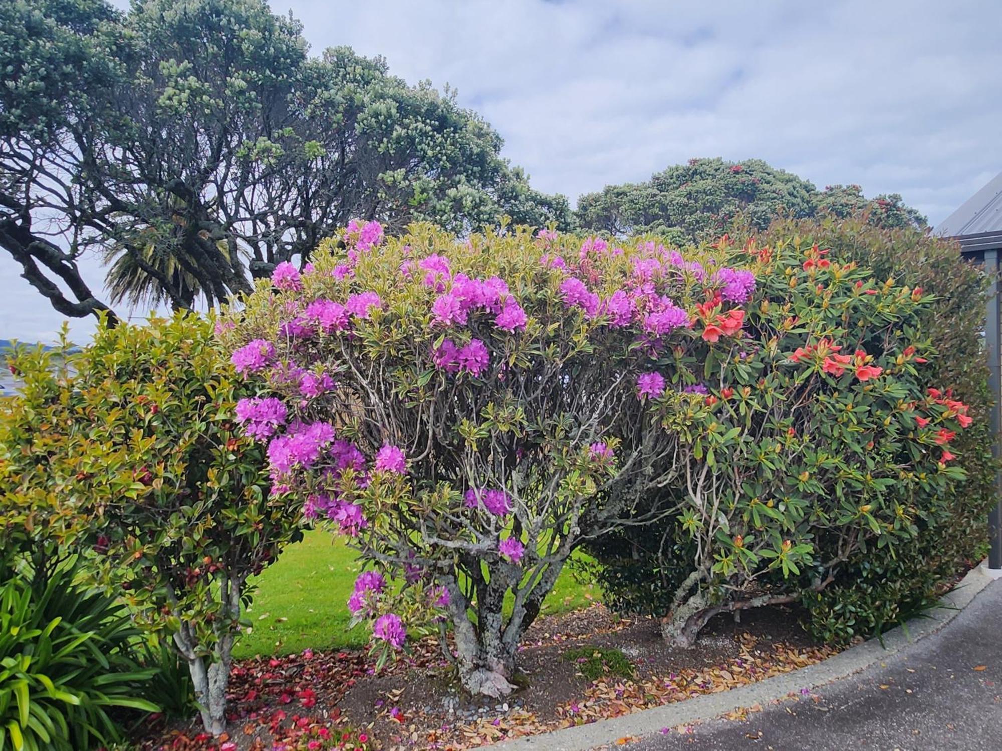 Asure Gables Motor Lodge Greymouth Bagian luar foto